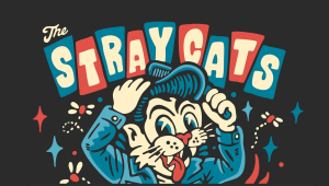 Image of Stray Cats